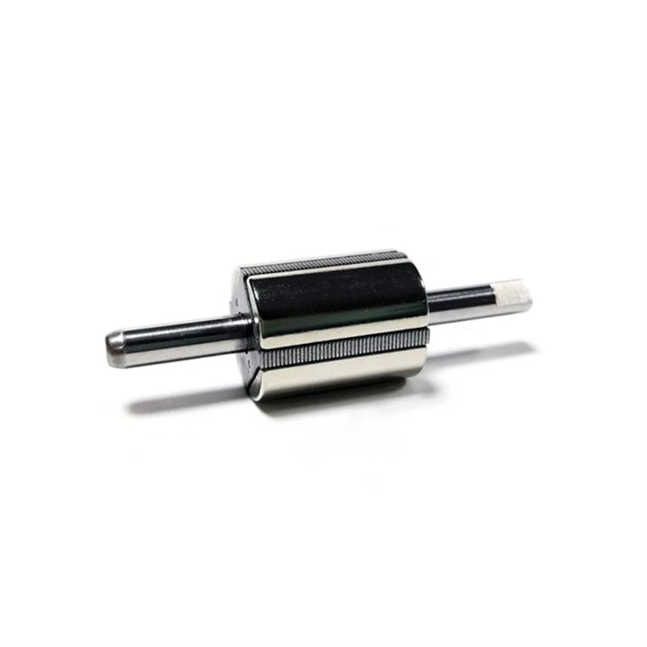 NdFeB Magnetic Rotor-036